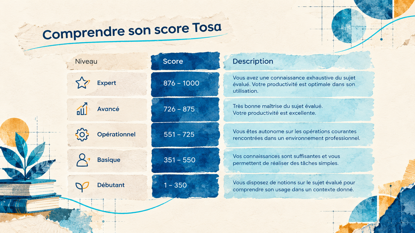 TOSA 2 Niveaux de score TOSA